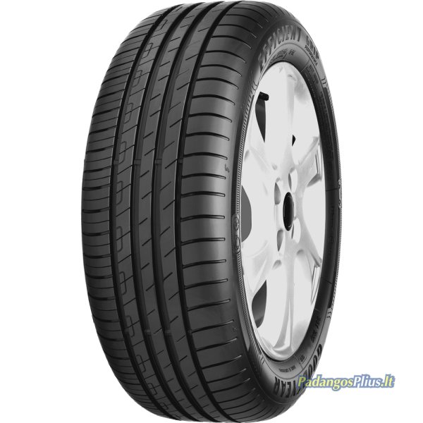 GOODYEAR EfficientGrip Performance 215/50 R19 93T  