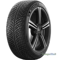 MICHELIN Pilot Alpin 5 SUV 295/45 R20C 114V XL 