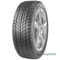 DOUBLESTAR DW09 315/35 R20 106T  